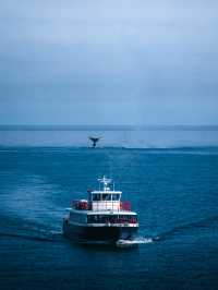 冰島的冬天還是太權威了!美到爆啊