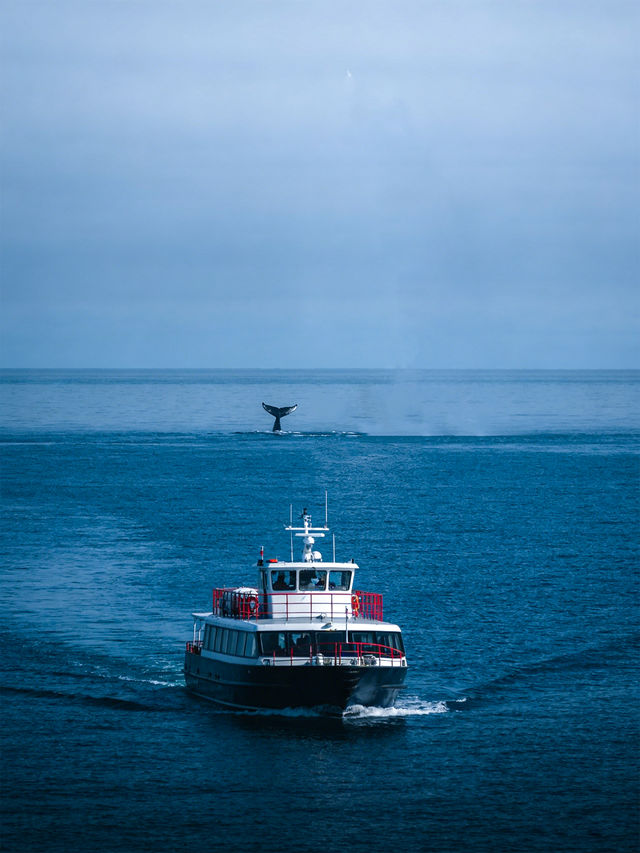 冰島的冬天還是太權威了!美到爆啊 冰島的冬天還是太權威了!美到爆啊