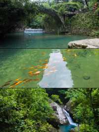 徐霞客同款山水避暑!2天1夜玩轉雁蕩山!