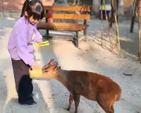 普通票廣州長隆大馬戲C位攻略