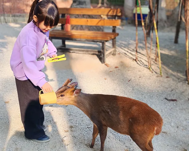 普通票廣州長隆大馬戲C位攻略 普通票廣州長隆大馬戲C位攻略
