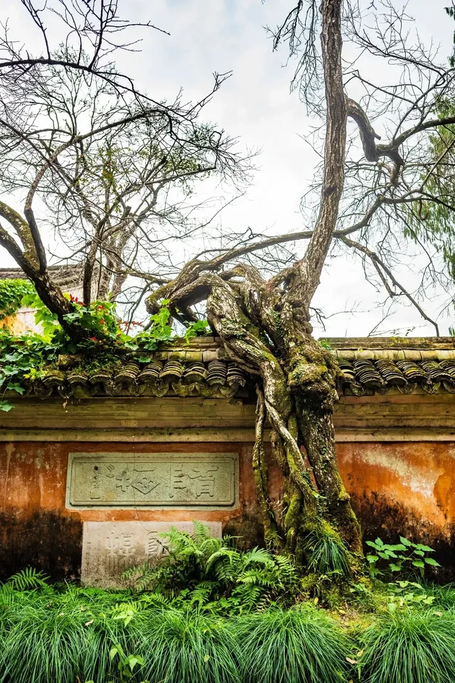 千年古剎-國清寺 靜心之旅