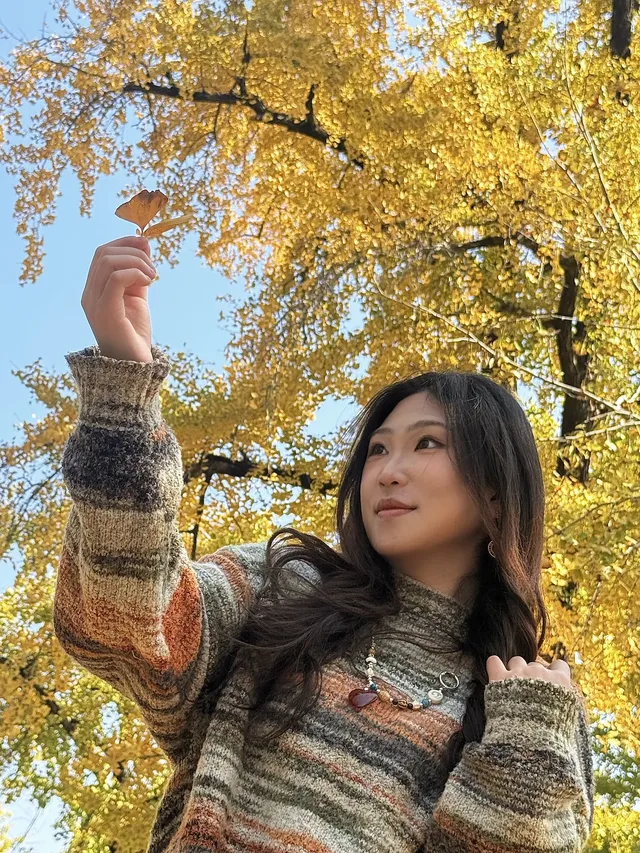 12.1湖州長興銀杏live實錄,秋日感秒get 12.1湖州長興銀杏live實錄,秋日感秒get