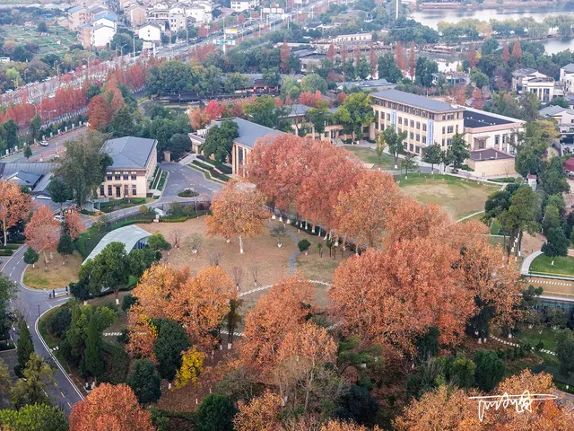 武漢秋天的「金鑰匙」被我找到了！