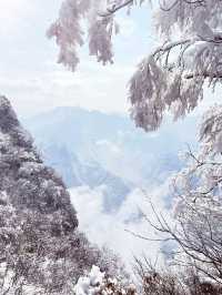 12月-2月來郴州莽山的!存下吧超全的!小眾玩雪地必衝!