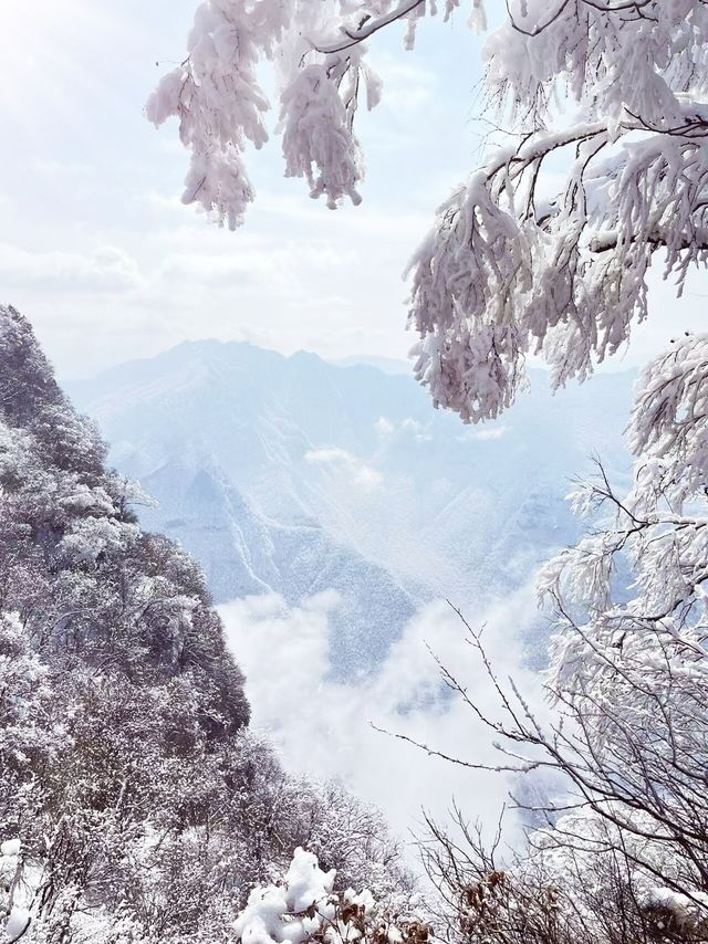 12月-2月來郴州莽山的!存下吧超全的!小眾玩雪地必衝! 12月-2月來郴州莽山的!存下吧超全的!小眾玩雪地必衝!