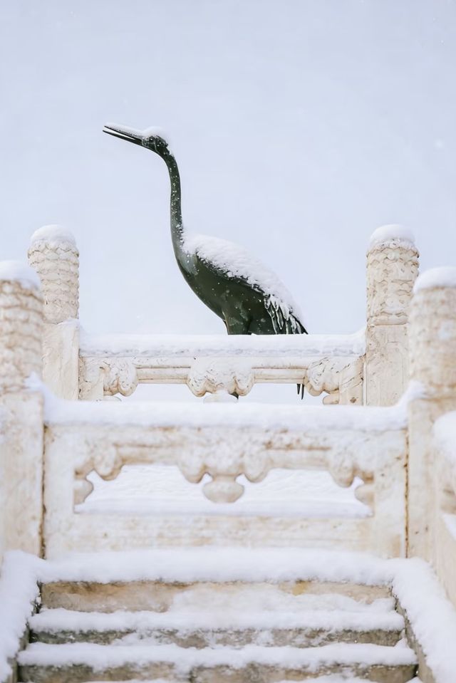瀋陽故宮的雪太絕了!冬日限定版紅牆白雪,美到窒息! 瀋陽故宮的雪太絕了!冬日限定版紅牆白雪,美到窒息!