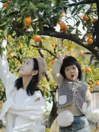 別只知道三亞12月來這座寶藏小城