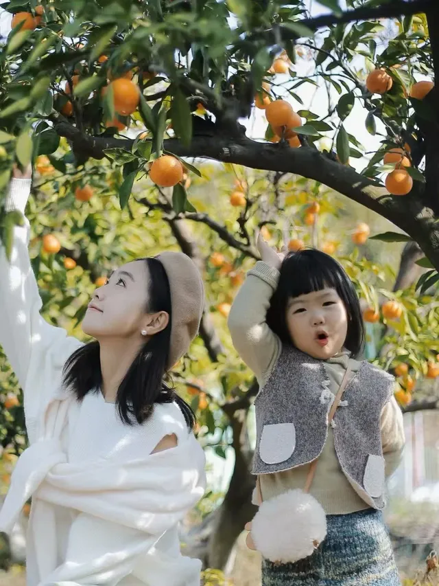 別只知道三亞12月來這座寶藏小城 別只知道三亞12月來這座寶藏小城