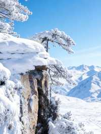 雪_山廬山_江西