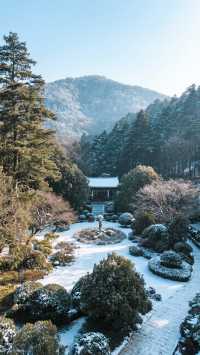 12月廬山三天兩晚，雲霧水墨輕奢行