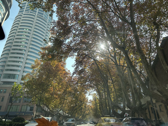 南京博物院 南京博物院