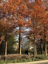 色彩繽紛的淮扬菜