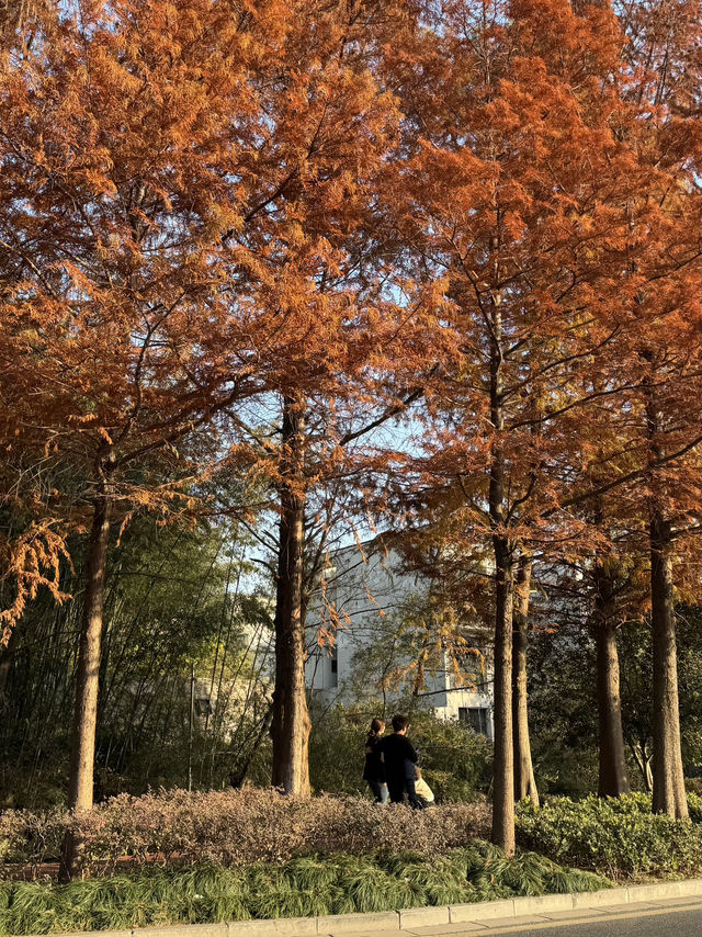 色彩繽紛的淮扬菜 色彩繽紛的淮扬菜