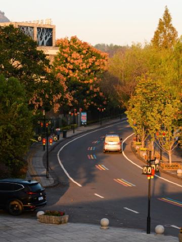 黄山にもこんなにリラックスできる場所があります