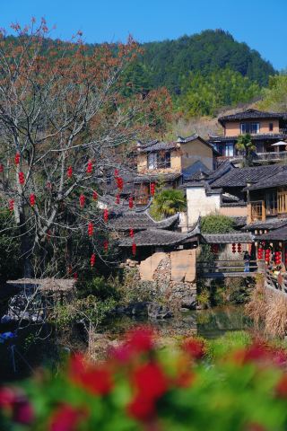 Ningde Longtan Village｜Stealing Half a Day of Leisure in a 600-Year-Old Ancient Village