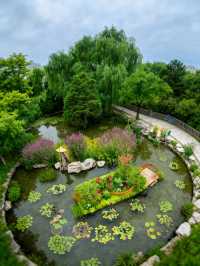 保定這座江南風公園是夏日避暑的仙境！