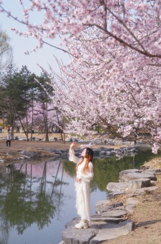 The overcast sky at the Old Summer Palace is like a Song Dynasty poem written on paper!