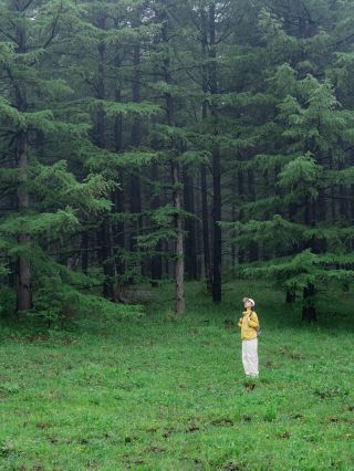 避暑天堂雲中草原全攻略🌿  