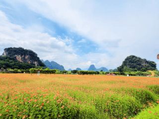 Local Customs & Etiquette for Visiting Fenglin Xiaozhen Scenic Spot
