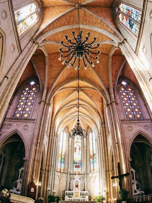 6-day nanny-level guide to explore Guangzhou and other places—just