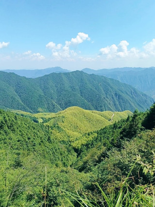 ภูเขากัวชาง | กังหันลมและทะเลหมอกบนยอดเขาสูงที่สุดในมณฑลเจ้อเจียงตะวันออกเฉียงใต้