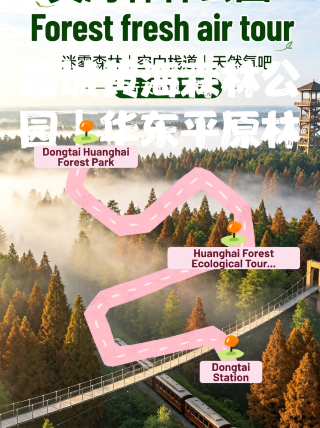 塩城黄海森林公園｜華東平原の森林地帯、緑豊かな野原で肺を洗う旅へ