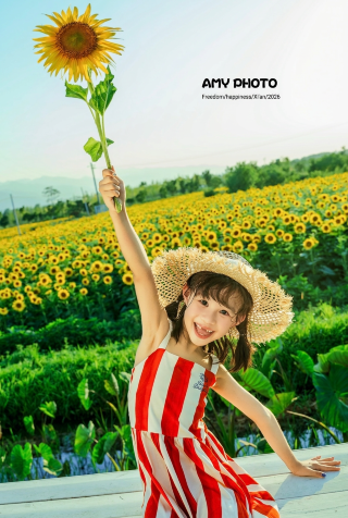 Licheng Wanda Riverside Hotel | The ultimate sunflower photo shoot and kid-friendly stay all in one
