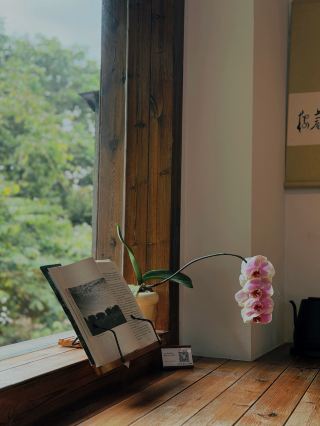 The overall pace is relaxed and unhurried. It focuses on experiences and rest for families with kids, perfectly connecting to a 10:00 PM flight.
Day 1 | Arrival & check-in → Gulangyu one-day tour
Morning: Check-in (9:40 AM–11:30 AM)
· 9:40 AM Arrive at Xiamen Gaoqi International Airport, bring all required documents (ID card, child's household register/birth certificate).
· Airport → Weishang Garden Homestay (Zhongshan Street branch): Approx. 28–35 mins by taxi, arrive between 10:20 AM–10:30 AM.
· 10:30 AM–11:30 AM Check in and drop off luggage.
Midday–Evening: Gulangyu family one-day tour (11:30 AM–6:00 PM)
Midday | Ferry departure
11:30 AM From Dongdu Cruise Terminal → Sanqiutian Pier
Afternoon | Island strolling, dining + family activities
Visit the Piano Museum
Light hike to the top of Sunlight Rock (15 mins), overlook the red-tiled roofs and green trees of the whole island.
5:10 PM Take a ferry from Sanqiutian Pier back to the ferry terminal.
Evening | Stroll and eat at Zhongshan Street
5:30 PM–7:00 PM Stroll along Zhongshan Road Pedestrian Street.
7:00 PM Return to the homestay to rest and recharge for the next day's itinerary.
Day 2 | Xiamen Station → Quanzhou one-day tour
Morning | High-speed train round trip (8:35 AM–8:00 PM)
Morning | Depart for Quanzhou
7. 30 AM Depart from hotel → Xiamen Station (15 mins by taxi)
8. 35 AM Take train D6204 (Xiamen Station → Quanzhou Station, second-class seat CNY 36, 53 mins), arrive in Quanzhou at 9:22 AM.
Daytime | Quanzhou family sightseeing
9. 30 AM–10:00 AM Taxi → Quanzhou West Street, scheduled for a photo session.
11. 00 AM–12:00 PM Walk → West Street, explore the ancient city, eat mee sua paste and vinegar meat (suitable for breakfast/lunch).
12. 00 PM–1:30 PM Lunch + rest.
1:30 PM–4:30 PM Stay on West Street, visit Kaiyuan Temple.
5. 00 PM Taxi → Quanzhou Marionette Theater Heritage Protection Center.
6. 00 PM Watch the classic children's marionette show.
7. 00 PM Show ends, return to Quanzhou Station by 7:30 PM.
8. 06 PM Quanzhou Station – 8:50 PM Arrive at Xiamen Station, taxi back to hotel around 9:30 PM.
Day 3 | Xiamen city one-day tour → Return to airport
Daytime | City family tour
8. 30 AM–9:00 AM Breakfast + check out and store luggage.
9. 00 AM–10:30 AM Taxi → Wanyue Slope Holiday Coast.
• Feel the sea breeze, look at the sea, take photos.
12:00 PM–12:30 PM Taxi → Xiamen Botanical Garden West Gate (enter and exit through the West Gate).
• See the plants and take photos (12:30 PM–1:40 PM).
2. 00 PM Xiamen Zhonggu Cableway (enter through the gate next to the Botanical Garden West Gate).
• Round trip on the cableway takes about 1 hour (tour the panoramic view of Xiamen).
3. 30 PM Walk → Universe Interesting Research Institute.
Then stroll along North Outer Street.
7. 20 PM Depart → Xiamen Gaoqi International Airport (28 mins).
Evening | Seamless return
8. 00 PM Arrive at the airport, check in, and drop off luggage.
 #