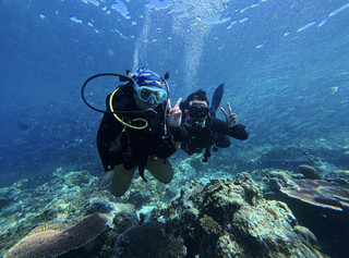 Petualangan Menyelam Tak Terlupakan di Seaventures Dive Rig