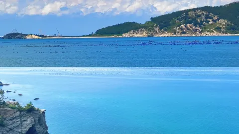 다롄 하선도｜랴오닝의 보물 같은 소규모 섬, 갯벌체험으로 신선한 해산물 자유를 누리다 — traveler post in 창하이