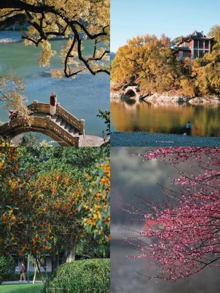 Not visiting Yuehu Park when in Ningbo is a real shame.
