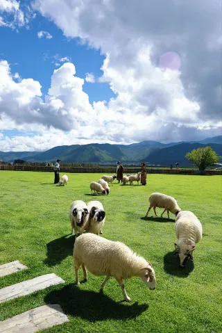 Shangri-La Travel Guide 2026: Top Attractions, Local Food & Travel