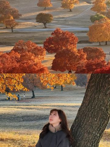 Who gets it!! Autumn in Xing'an League is absolutely stunning