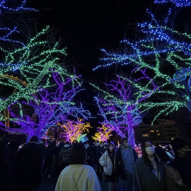 どこを見渡しても幻想的✨よみうりランド🎢