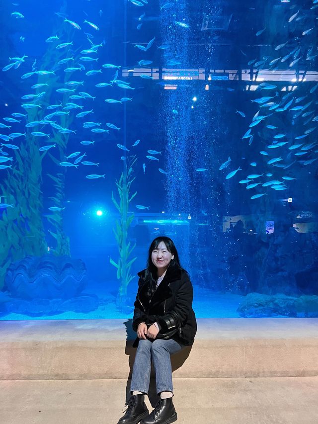 서울에서 하는 이색 실내데이트, 롯데월드 아쿠아리움