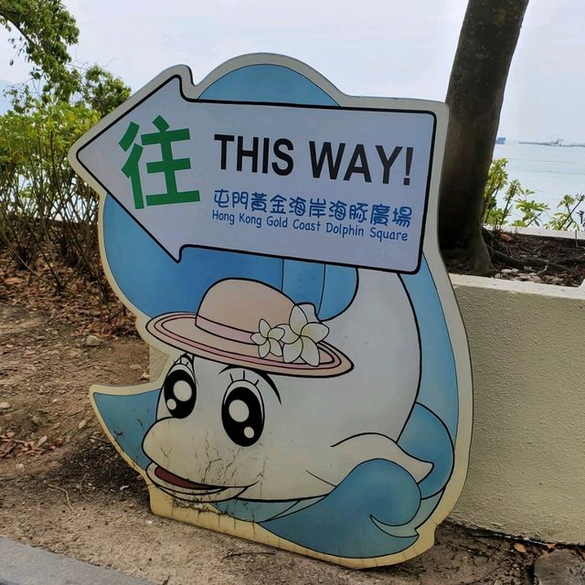 金色嘅海豚雕像，好靚呀😊