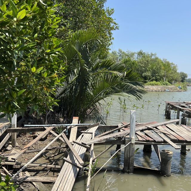 ศูนย์อนุรักษ์ป่าชายเลนคลองโคน