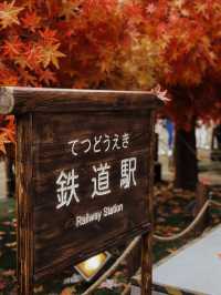 推薦北角匯不定期的限定打卡勝地📸