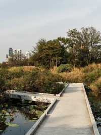Benchakitti Park in Bangkok