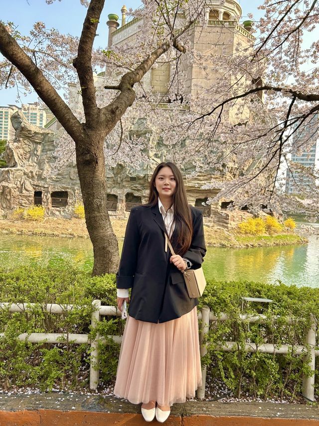 벚꽃 보러 가기 좋은 석촌호수 벚꽃길🌸
