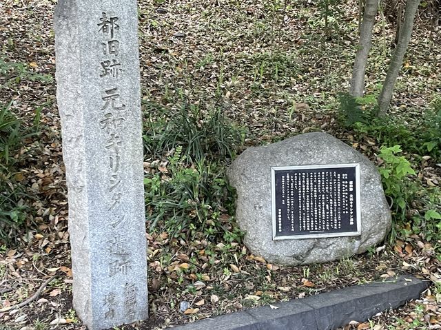 東京まだまだ桜満喫できるシバザクラ