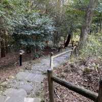 鹿児島県・旅行人山荘の貸切風呂「赤松の湯」は大自然の中にある