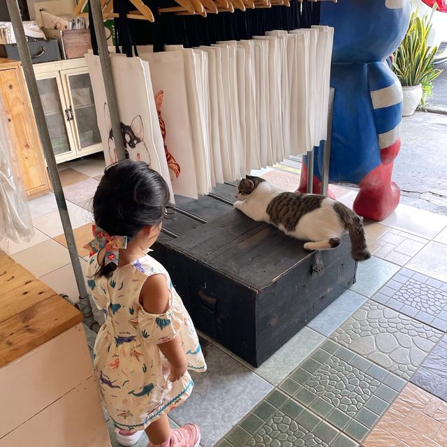 The Heritage Cat คนรักแมวที่ปีนัง