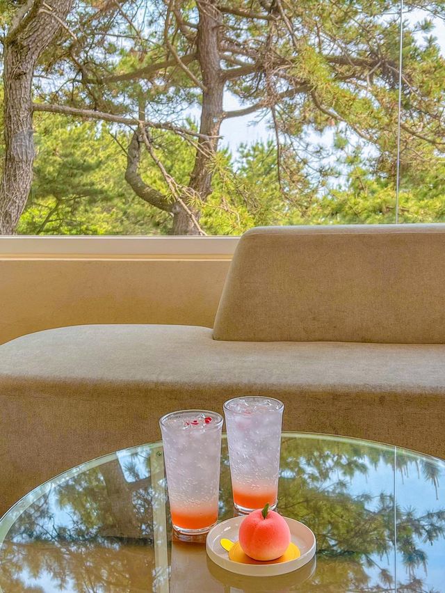달맞이길 오션뷰 카페🌊