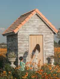 เดินเล่นฟีลเจ้าหญิงในสวนดอกไม้ I love flower farm