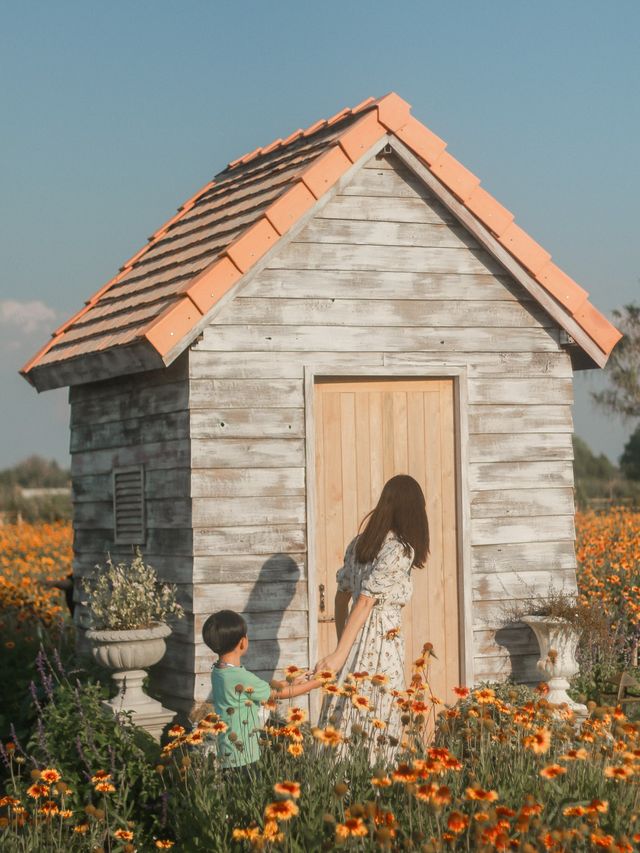 เดินเล่นฟีลเจ้าหญิงในสวนดอกไม้ I love flower farm
