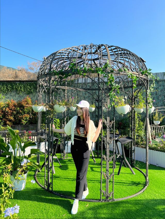 香港打卡🍀元朗錦田打卡花園cafe