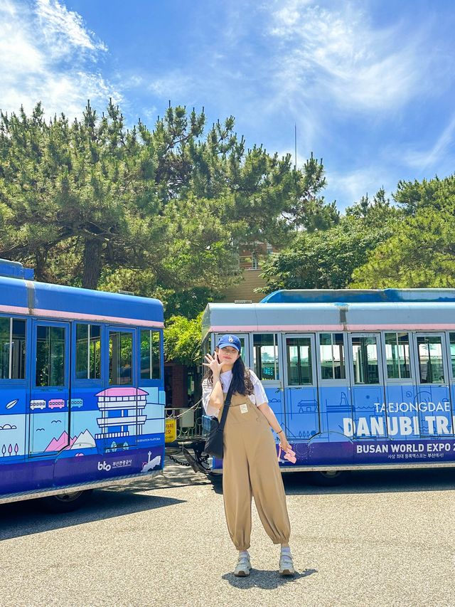 하이파이브와 함께한 부산 트래킹 💜
