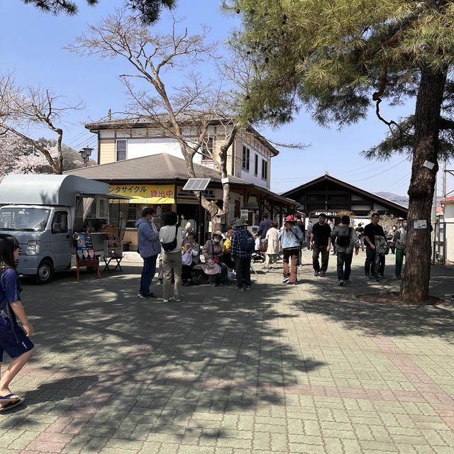 東京近郊賞櫻地推介 - 長瀞川